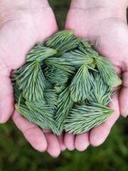 Spoil you in my arms