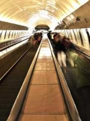 Ling Hao Qin Yuxin R