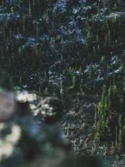 The Sovereign of the