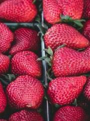 The Sovereign of the