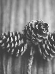 Falling for You: The