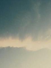 Rebirth of the Urban