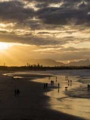 The Favorite Concubi