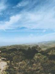 Falling for You: The