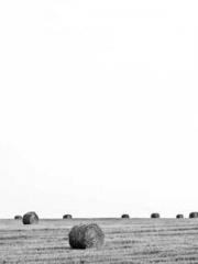 The Generalapos;s Hu