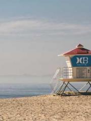 Professor Yan is goi