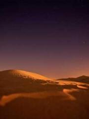 Professor Yan is goi