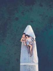 lt;lt;lt;Reborn Soar