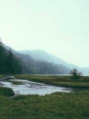 Chen Pingapos;an and