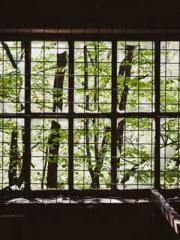 Professor Yan is goi