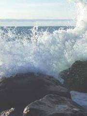 lt;Diga: From Jetton