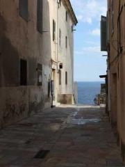 Professor Yan is goi