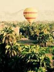 Professor Yan is goi