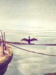 Super husband Lin Xi