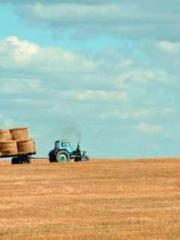 Rebirth of the Urban