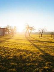 On our wedding night