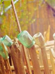 Lin Feng Lin Yun Yao