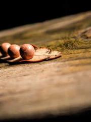 Grandpa Fuapos;s Ful