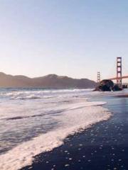 Become a big shot in