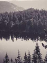 lt;Heavenly Fire Dyn