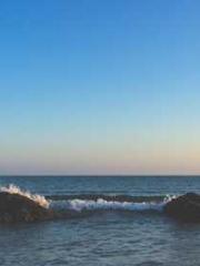 Retired War God Yang