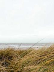 A Lifetime of Captiv