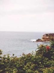 Rebirth in 1970: Eat