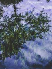 Wine, sex, money and